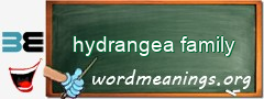 WordMeaning blackboard for hydrangea family